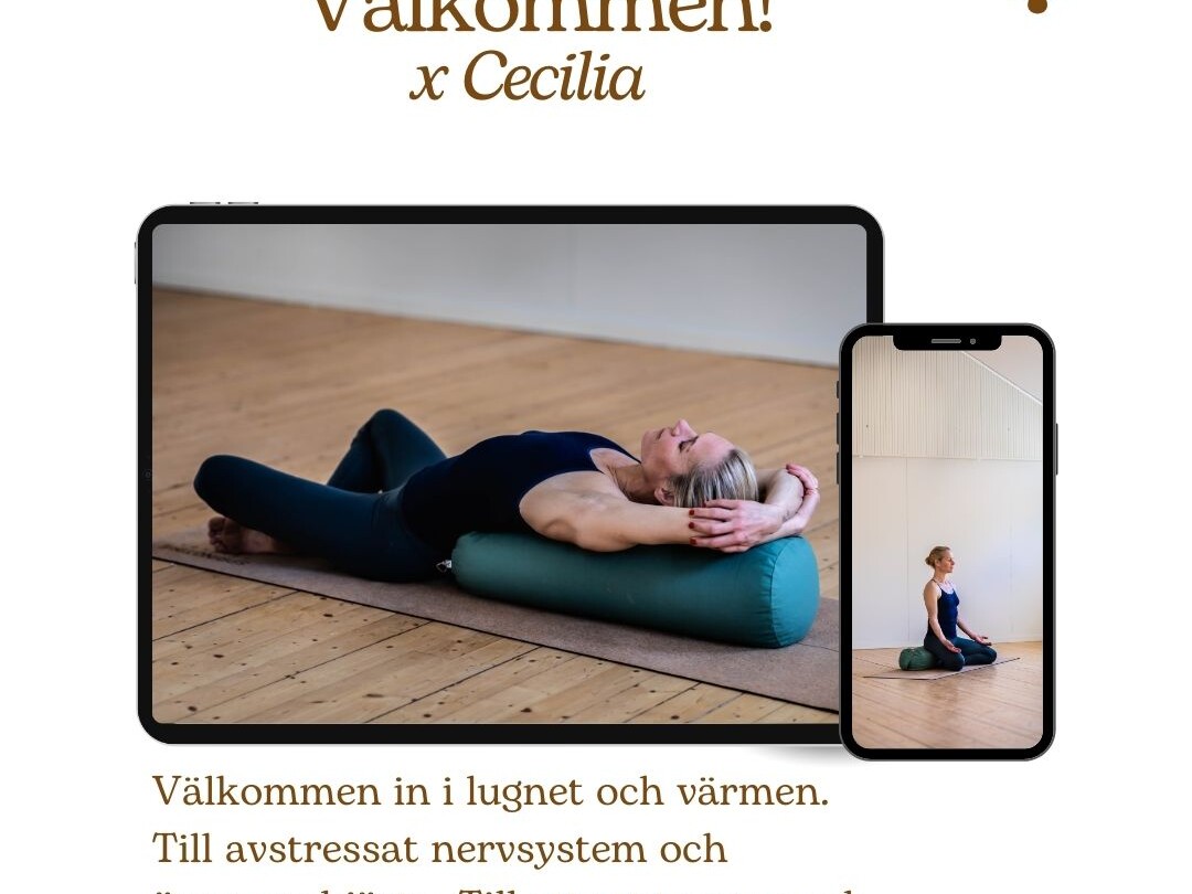 Zoom Yinyoga